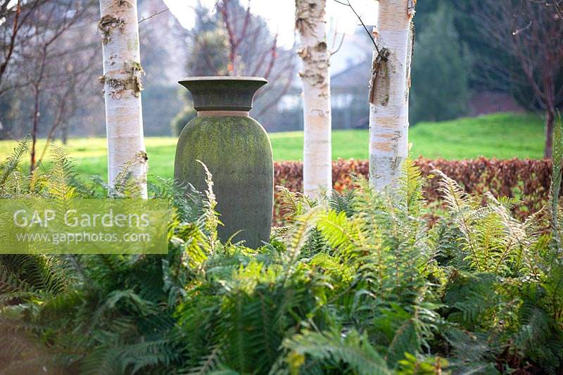 Decorative vase surrounded by Polystichum setiferum 'Herrenhausen' from within Himalayan Birch Copse at Littlethorpe Manor, Yorkshire, UK. Designed by Eddie Harland.
