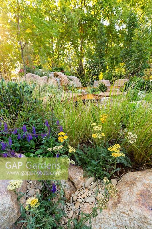 A natural looking rock garden with a mixed planting of flowering plants and grasses including Euonymus, Poa labillardierei, Achillea and Salvia nemerosa 'Caradonna'