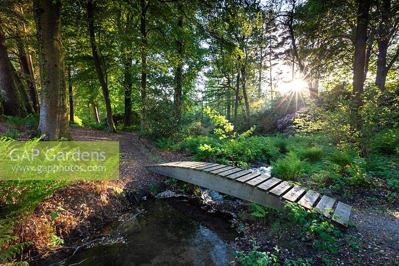 Bridge over Tarn Ghyll Beck in Tarn Ghyll Wood at Parcevall Hall Gardens, Yorkshire.