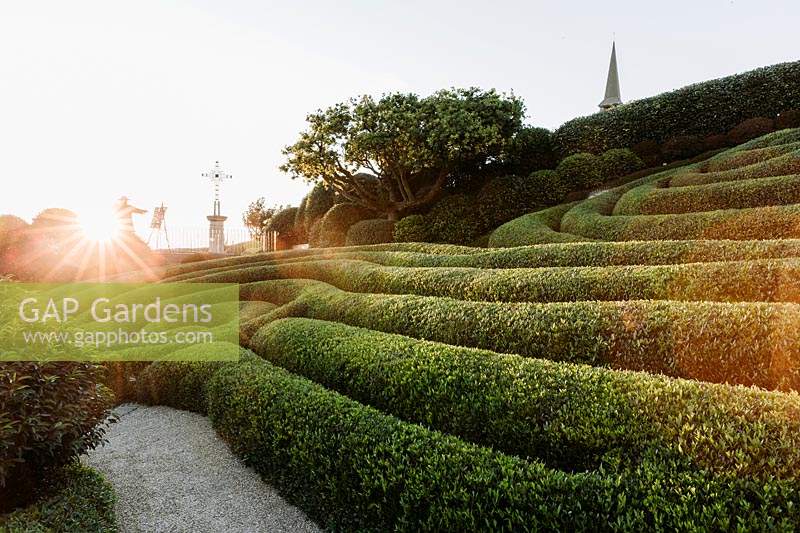 Sunset view of topiary hedging. Les Jardins d Etretat, Normandy, France