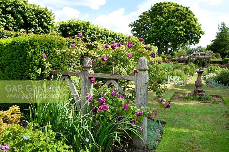 view through Alice's Garden to The Sundial Garden and Llanhydrock Garden beyond at Wollerton Old Hall Garden, Shropshire.