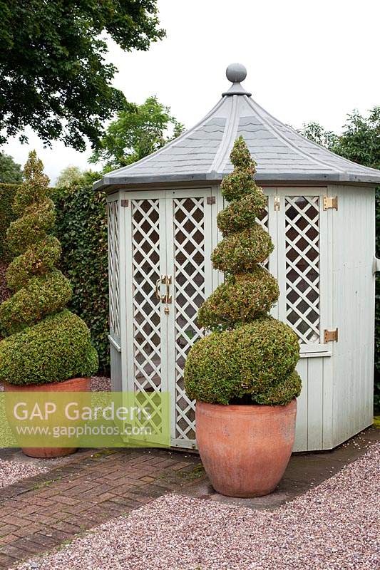 Two buxus spirals in pots outside the summerhouse at Wollerton Old Hall Garden.