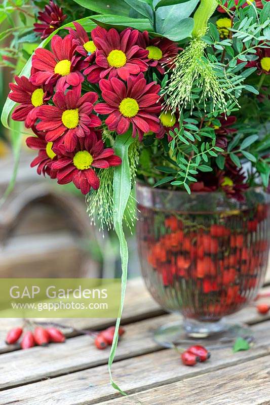 Floral arrangements with red Chrysanthemum and mixed foliage, vases with rosehips in water