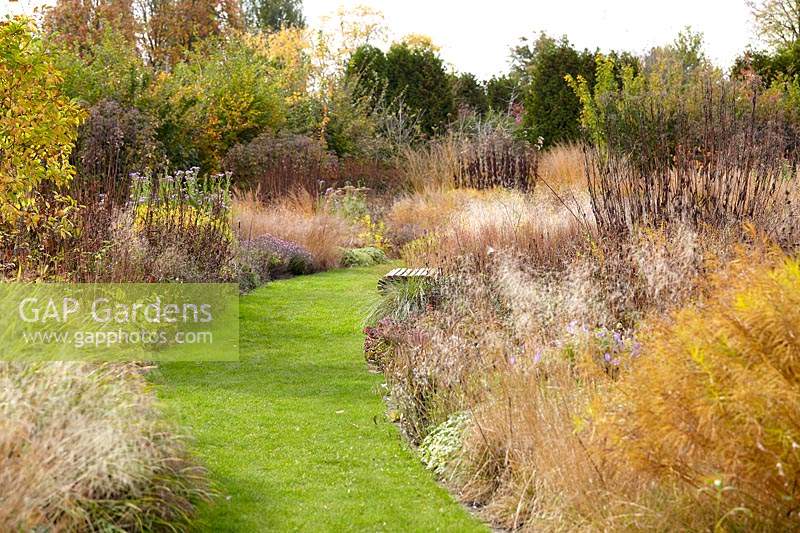 Autumn borders with grass pathway.
