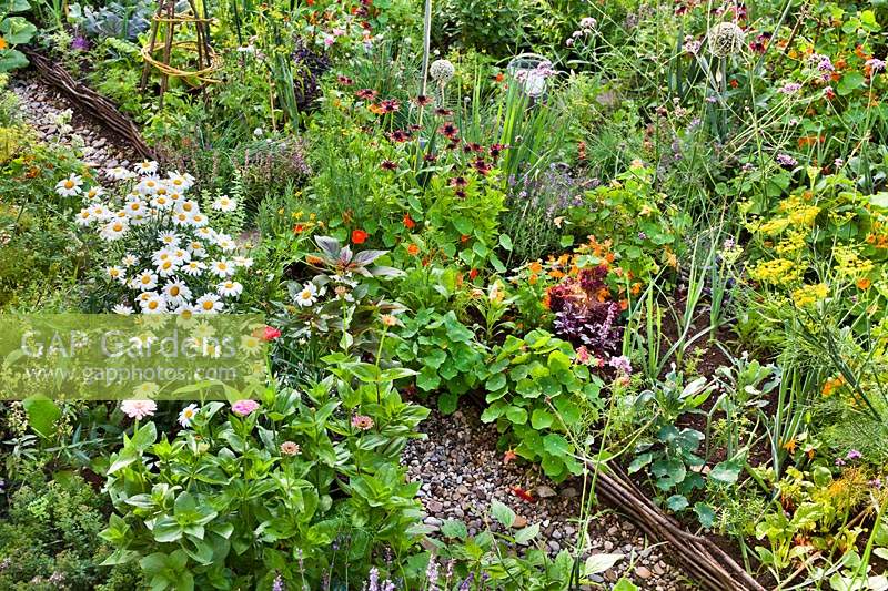 Mixed beds with vegetables, herbs, annuals and perennials. 