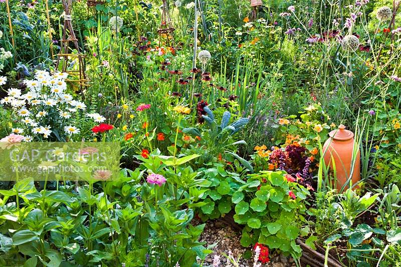 Beneficial beds with annuals and perennials.