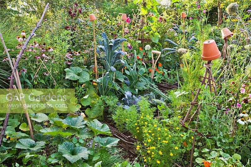 Mixed vegetable beds with pumpkins, leeks, kale, beetroots, red cabbage, nasturtium and Tagetes tenuifolia.