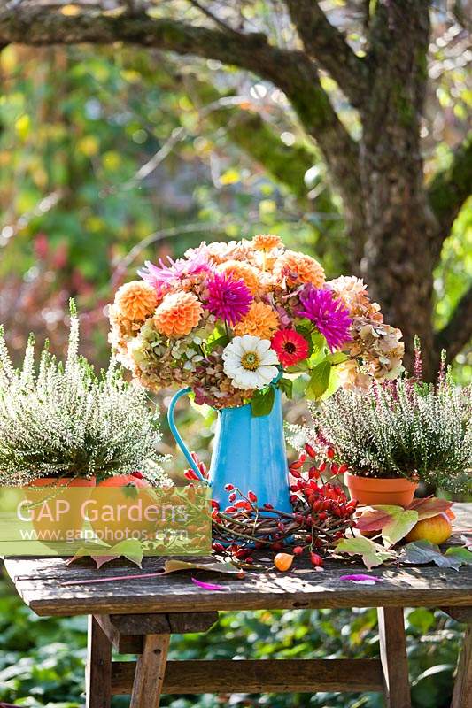 Bouquet of autumn flowers in jug including Dahlias, Zinnia, Hydrangea, Heather.