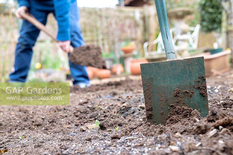 Garden spade in a vegetable garden in front of a gardener turning the soil over in early spring