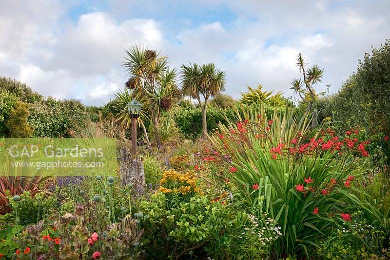 The Beth Chatto Garden with glass domed bird table, grasses, papavers, Phormium, Cordyline and Crocosmia