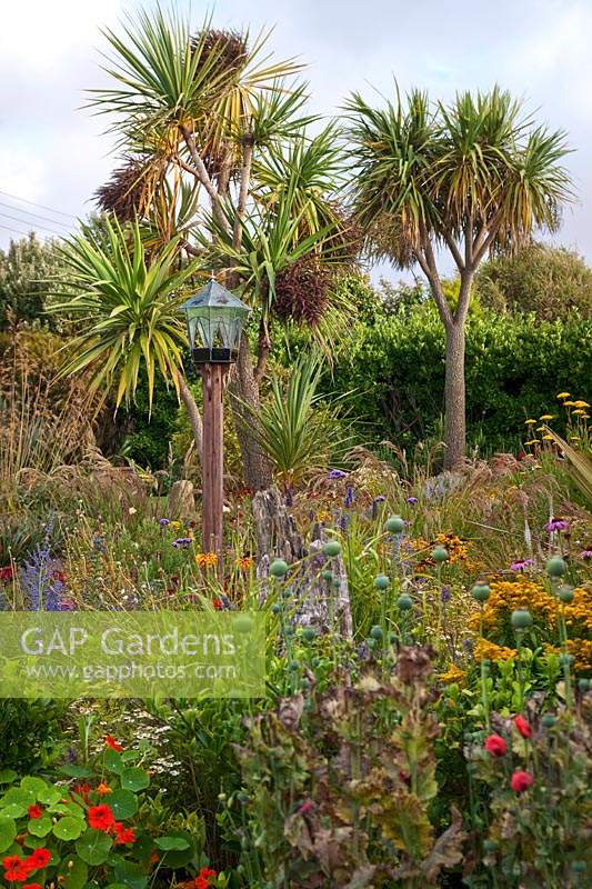 The Beth Chatto Garden with glass domed bird table, grasses, Rudbeckias, Perovskia, Nasturtiums, and Cordyline