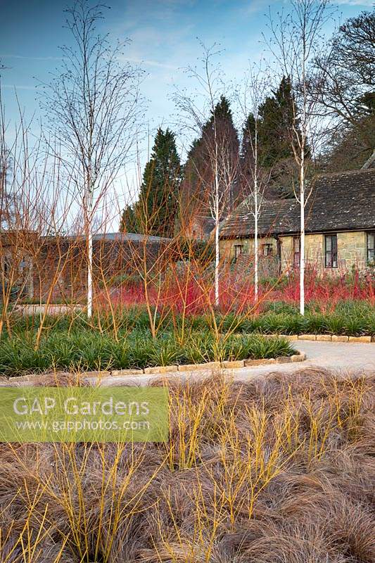 The Winter garden at Wakehurst, West Sussex, UK. 