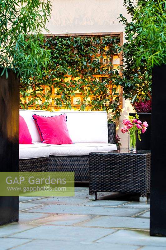 View through tall black planters to outdoor seating area with pink cushions, wall-mounted trellis with climber beyond