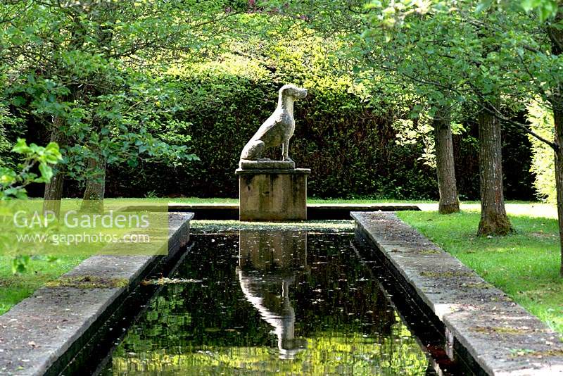 View along canal to sculpture of a seated dog on plinth with hedge backdrop and Pyrus calleryana 'Chanticleer' trees either side