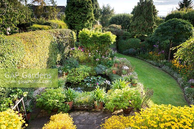 Small garden behind a terraced house in Bristol in September featuring a pond, lawn, densely packed borders, dense thick hedges and plenty of small trees. Plants are selected for their value to invertebrates and birds.
