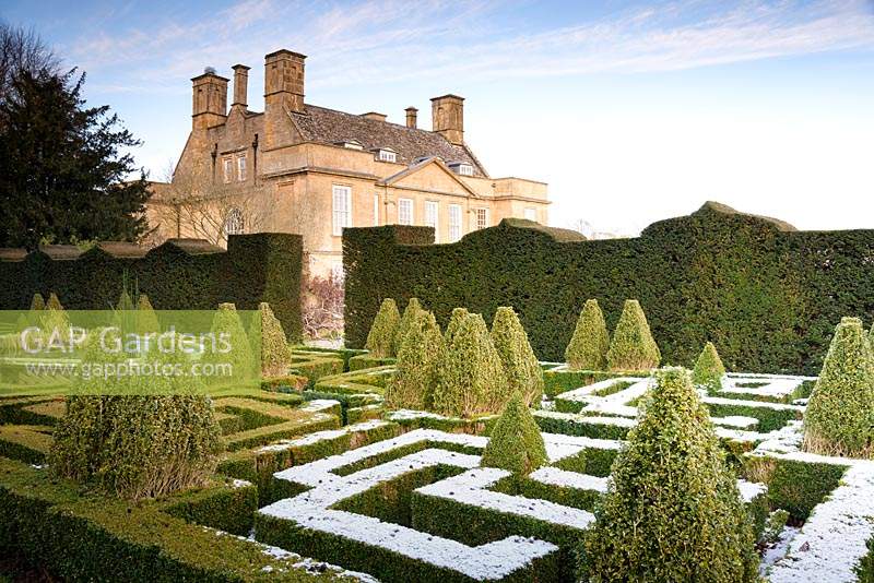 A knot garden of clipped Buxus - Box - with variegated Box pyramids, surrounded by formal hedge with house beyond