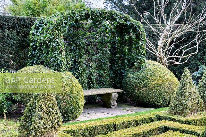 Hedera - Ivy - over an arbour framed with clipped Buxus - Box balls, plus stone bench 