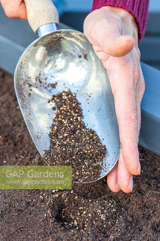 Using a scoop to cover newly-sown seeds with a mix of compost and vermiculite