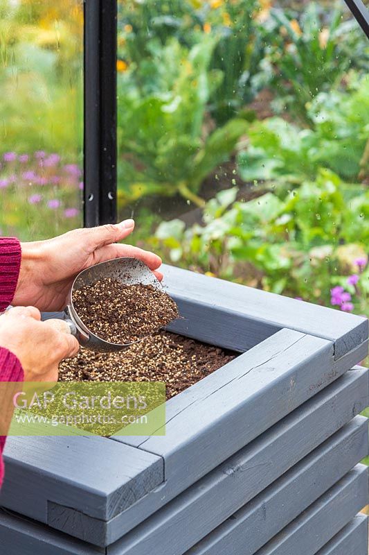 Using a scoop to cover newly-sown seeds with mix of compost and vermiculite