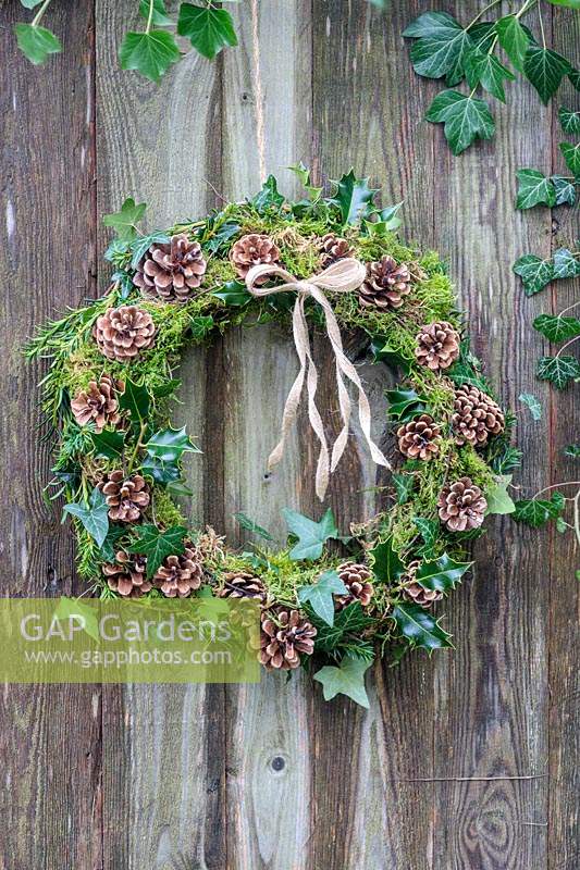 Finished wreath made with Ivy, Cones, Moss, Holly and Yew hanging on rustic wooden door outside