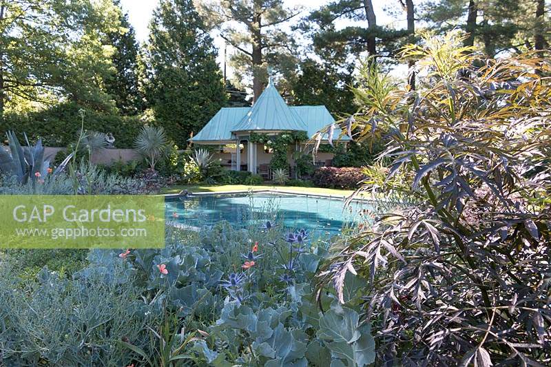 Chanticleer Garden: Turqouise blue swimming pool and pool house with turqouise metal roof. Creative border plantings in shades of silvery-blue and coral