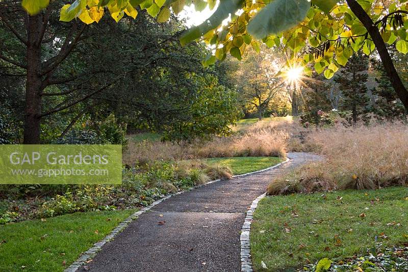 Sunrise at Chanticleer Gardens - path meandering through landscape. Contrast between mown lawn and ornamental grasses