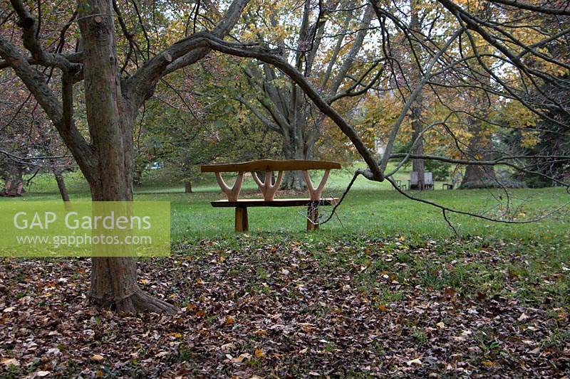 A handcrafted bench mimics the tree branches  beneath which it is set. Chanticleer Gardens. Landscape view.