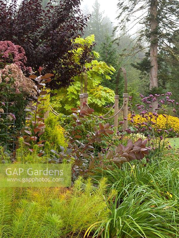 Mixed border of foliage plants in shades of gold and purple, wood, metal and rope arbor in background