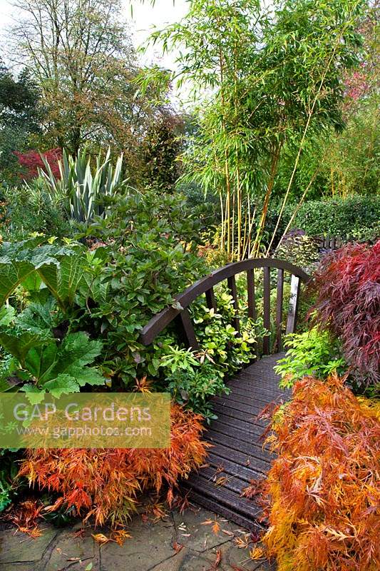 Japanese bridge in 'The Jungle' at Four Seasons Garden, Walsall, West Midlands, October