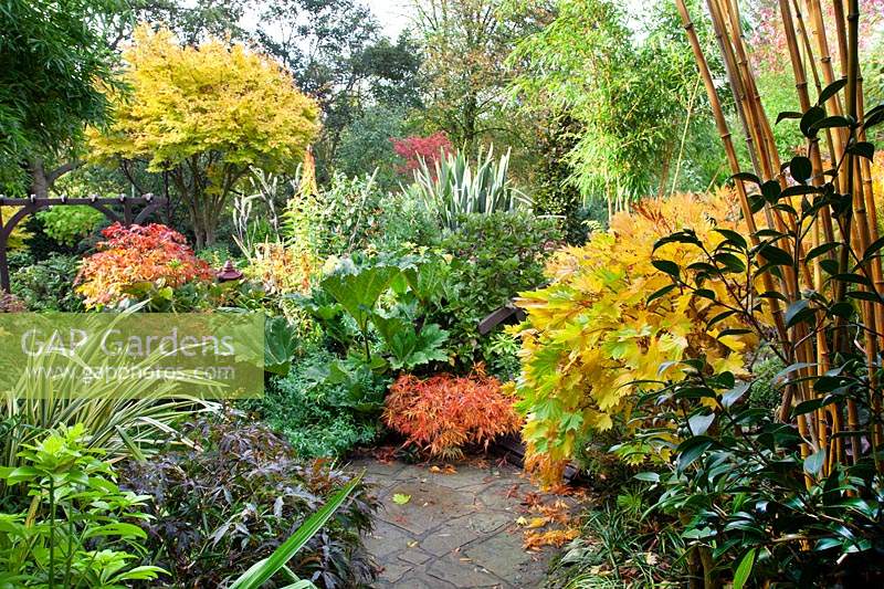 'The Jungle' at Four Seasons Garden, Walsall, West Midlands, October