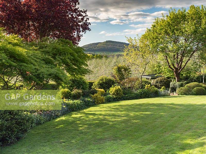 View across lawn to mixed border with views to an apple orchard and hills beyond