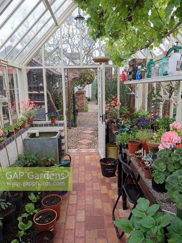 A tidy greenhouse with brick flooring. Potted plants and bedded out plants in rows.