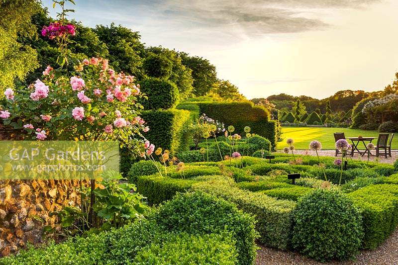 The last rays of sunlight glance across the knot garden with its climbing rose in the foreground, and the main lawn and Topiary Forest of clipped yew and box - Taxus baccata, Buxus sempervirens in the background. The sun drops behind the woodland shelter belt beyond. This image was runner-up in the Celebrating Gardens category of the annual RHS Photographic Competition.
