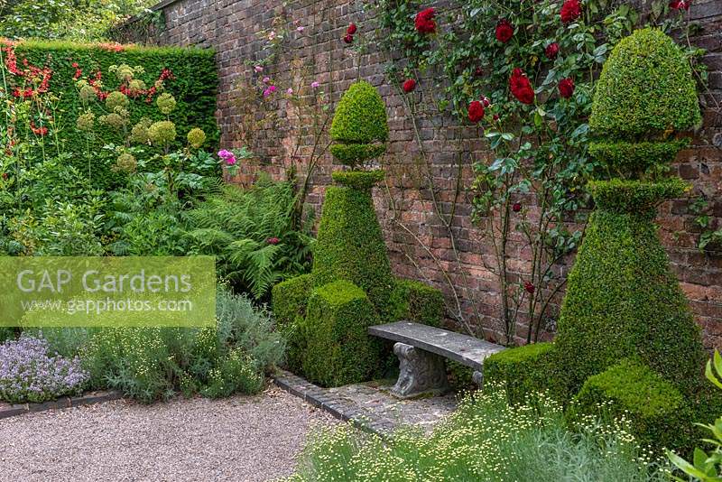 A bench flanked by box topiary, in a small formal, space planted with herbs, annuals and roses. The Herb Garden at Arley Hall, Cheshire, UK.
