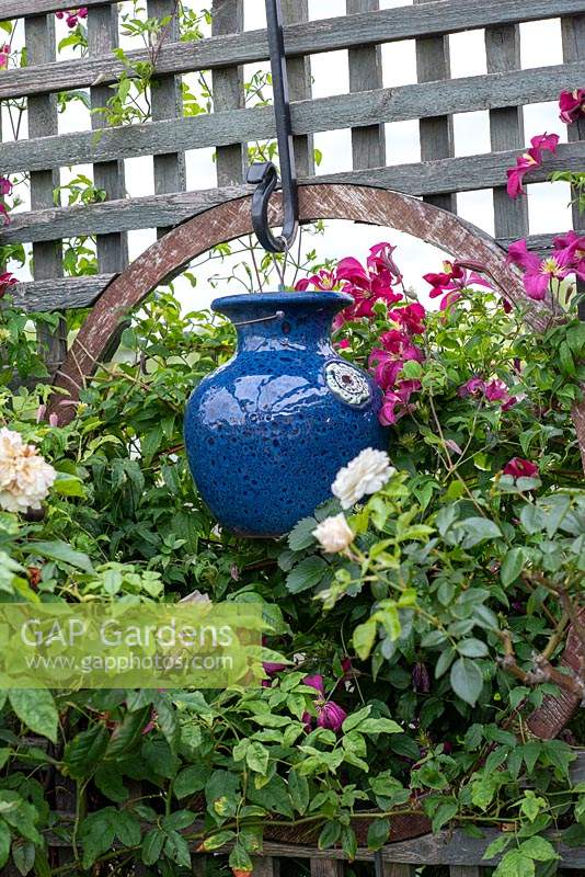 A porthole cut into a trellis divider is filled with a blue ceramic vase amidst Clematis 'Madame Julia Correvin' and roses.