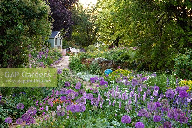 View through Allium 'Purple Sensation', Persicaria bistorta 'Superba', euphorbia, ragged robin, orlaya and catmint, to a paved path that ascends to a summerhouse, passing a border in which flag irises and nectaroscordum star. Beyond stands an Acer platanoides 'Drummondii'.