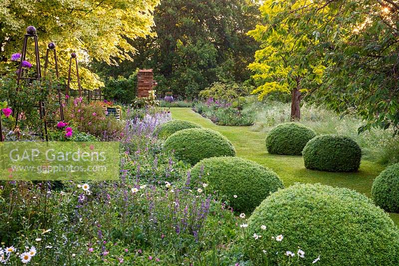 Caught in early morning light, a country garden that combines long, open vistas and naturalistic style beds and borders, whilst mature trees, box hedges and clipped balls add structure.