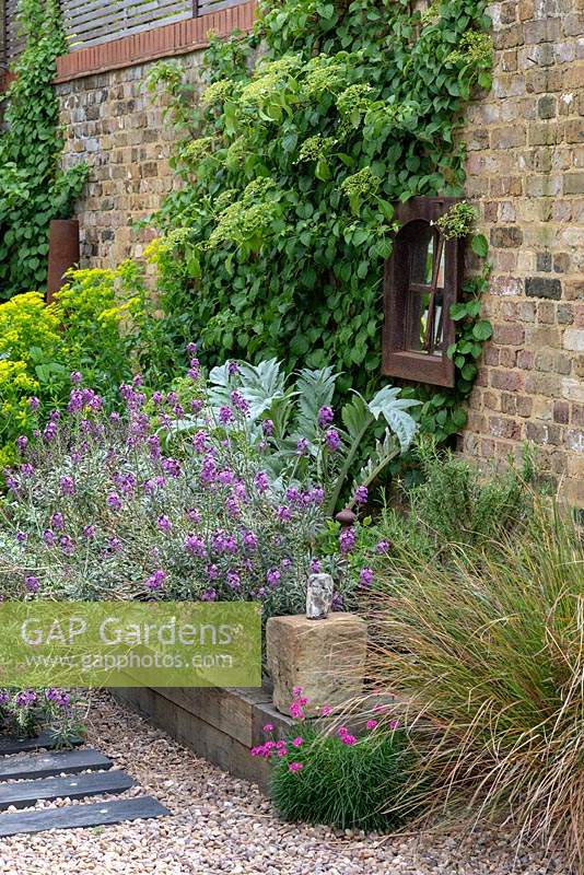 A raised bed planted with euphorbia, cardoon, hebe and Erysimum 'Bowles Mauve'. Climbing hydrangea is trained up the wall. A clump of sea pinks thrives in the gravel.
