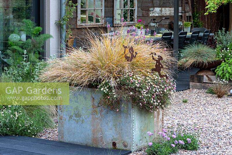 A salvaged galvanised water tank planted with fleabane, perennial wallflowers Erysimum 'Artist Paintbox' and pheasant's tail grass.