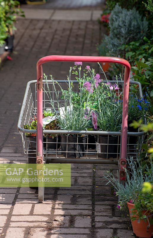 Trolley with plants at a Nursery