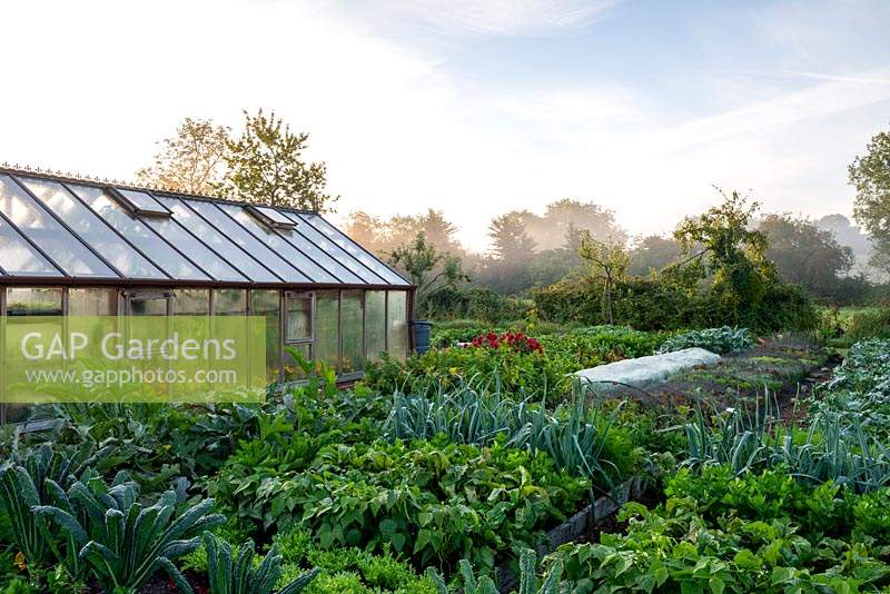 Vegetable garden with Kale 'Cavolo Nero', French Bean 'Cupidon', Celery 'Victoria' and Leek 'Philomene'