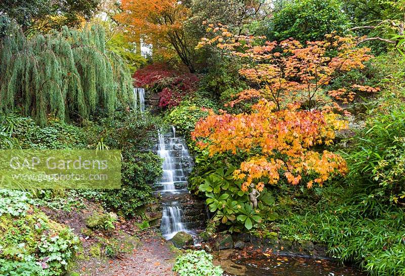 A waterfall in the Quarry Garden at Dorothy Clive Garden, Willoughbridge, Staffordshire. Planting includes: Rodgersia, ferns, Azaleas and Acers