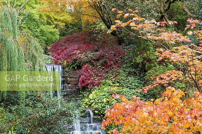 A waterfall in the Quarry Garden at Dorothy Clive Garden, Willoughbridge, Staffordshire. Planting includes: ferns, Azaleas and Acers