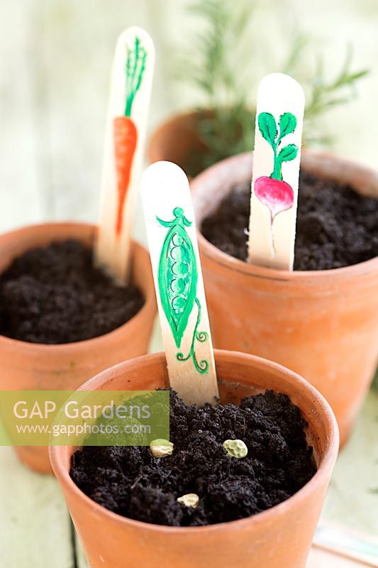 Decorated Ice lolly sticks used as vegetable labels