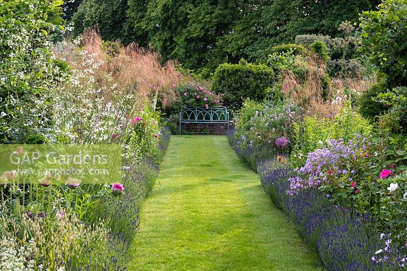 A grassy path between twin borders leads to a bench, backed by Rosa 'Bonica'. 