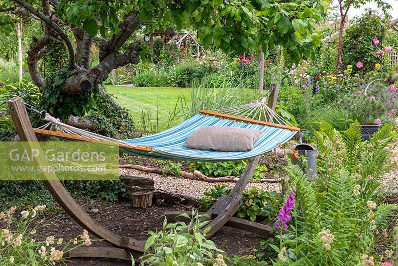 A hammock in a shady spot surrounded by ferns and foxgloves.