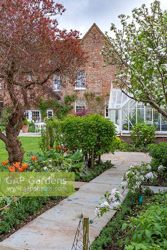 A path leads through a small formal kitchen garden with Malus domestica 'Falstaff' - Apple - in blossom, trained along a stepover cordon edging mixed beds, view of period house beyond 