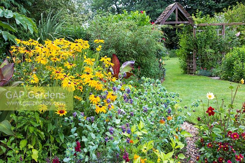 Rudbeckia fulgida 'Autumn Leaves', Cerinthe major 'Purpurascens' in cottage garden border with view of wooden arch beyond