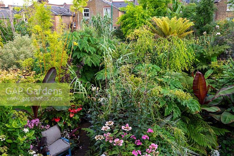 Bird's-eye view of a 13.5m x 6.5m town garden filled with bold foliage plants. 