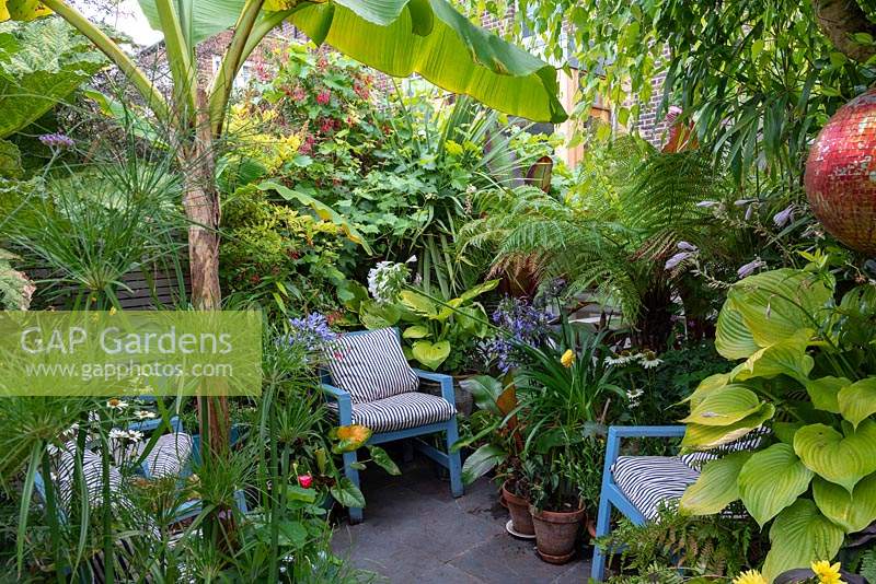 Enclosed seating area in small tropical style town garden, August 